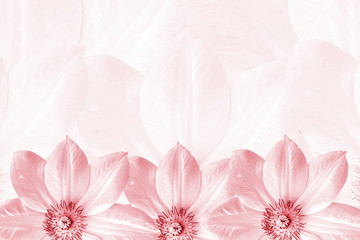 flower texture background with text copy space