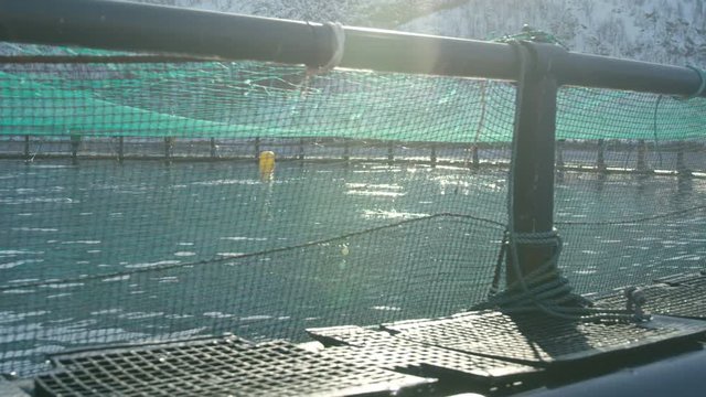 Fish cages up in Alta, Norway, moving close