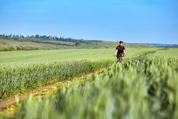 Fototapeta premium Attractive cyclist riding mountain bicyclist in the summer green field.