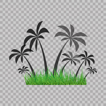 Palm trees silhouette and green grass on the transparent background. Vector illustration.Tropical exotic plant isolated on background. Modern hipster style apparel, poster, brochure design.