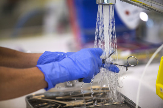 STERILIZATION OF MEDICAL EQUIPMENT