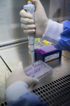 CANCER RESEARCH