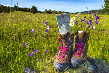 Wanderschuhe , Sommerwiese