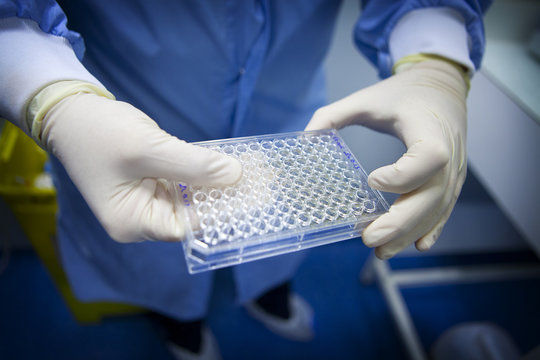 CANCER RESEARCH