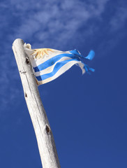 The national flag of Uruguay