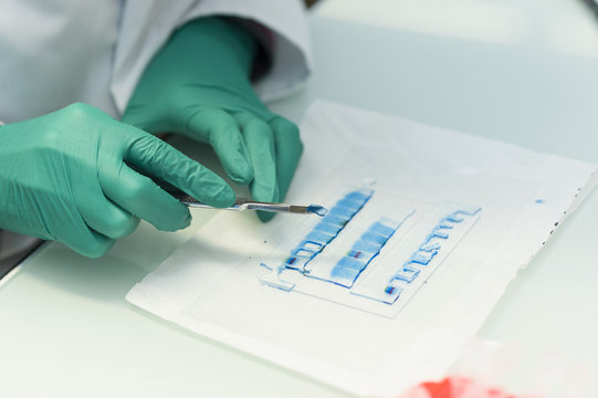 CANCER RESEARCH