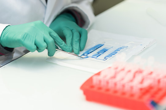 CANCER RESEARCH