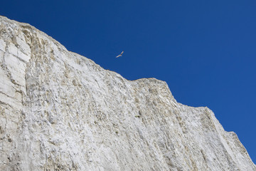 Chalk Cliffs on the Coastline in East Sussex