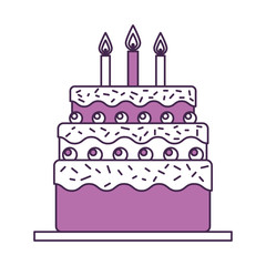 delicious cake brithday with candles vector illustration design