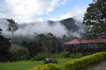 Paisaje de monta&ntilde;a con neblina