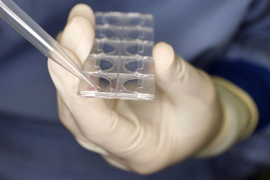 VIROLOGY LABORATORY