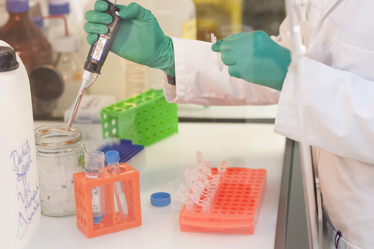 CANCER RESEARCH