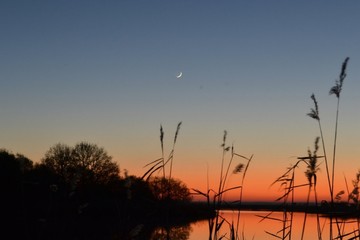 Fin de journée dans les Marais de Brière