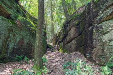Laurel Snow State Natural Area