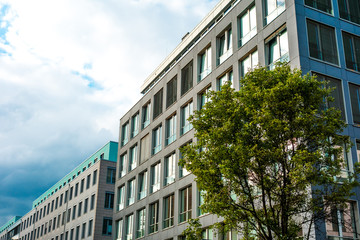 Obraz na płótnie Canvas grey and green office buildings in a row