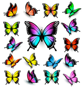 Colorful butterflies set. Vector.