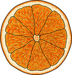 Cartoon red orange, vector image. Juisy and sweet fruit