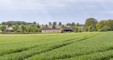 rural springtime scenery