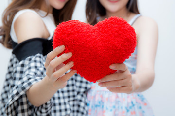 Two woman twins showing pillow heart holdding hands closeup.