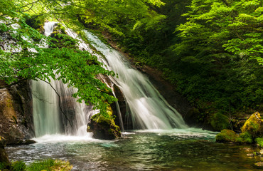 Fototapeta na wymiar 新緑が美しい 名水の滝