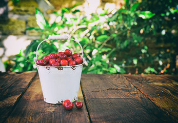Red ripe cherry in a bucket