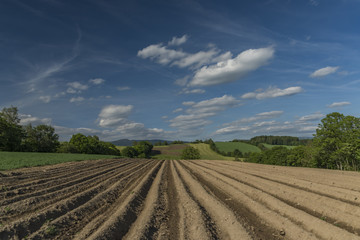 Fototapeta na wymiar Fields and meadows near Roprachtice village