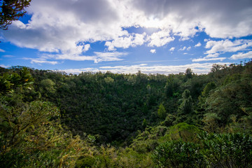 View to Rangitoto Island from North Head in a sunny day with a beautiful blue sky in a green forest