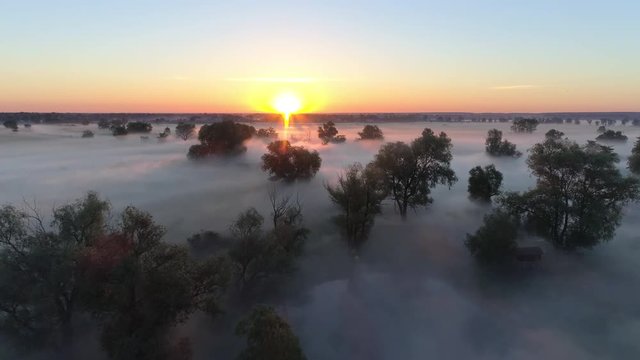 Aerial shot of beautiful foggy meadow with trees in sunrise lights. UHD, 4K
