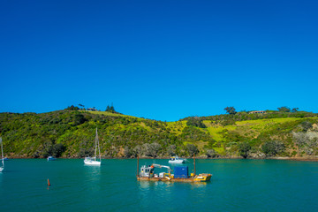 Naklejka na ściany i meble Sailing yachts in Waiheke Island, New Zealand. with a beautiful blue sky and magenta water in a sunny day