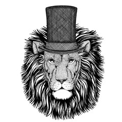 Wild Lion wearing cylinder top hat