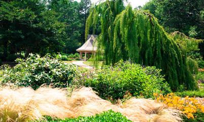 Hidden garden gazebo