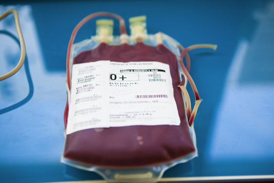 BLOOD STOCK