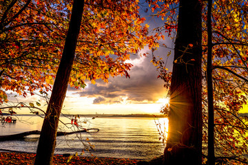 Autumnal Rays on Lake Washington