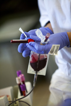 BLOOD DONATION