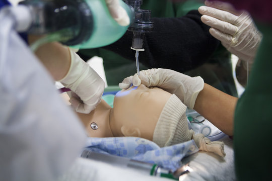 MANIKIN SIMULATION