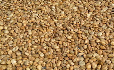 Yellow and brown pebble stone background