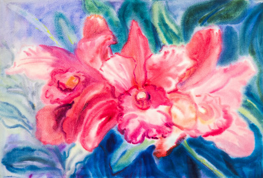 Flower original watercolor painting red color of orchid flower
