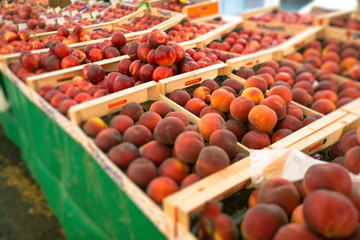 Fresh Produce At A Market In Southern France