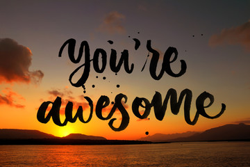 you are awesome