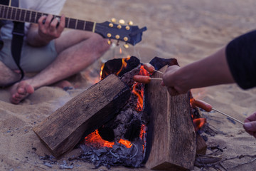 Closeup view of young and cheerful friends sitting on beach. and lit bonfire One man is playing guitar. Music on Wild beach with frying sausages