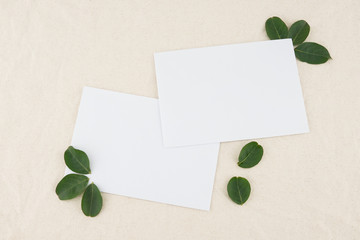 Two blank white cards decorated with green leaves