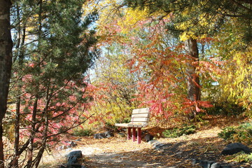 Autumn,fall,park,leaves,trees,nature,bench,colorful,forest,season