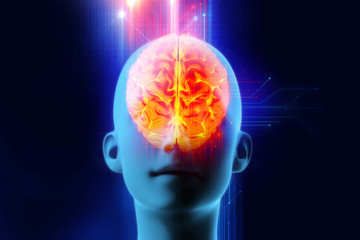 Obraz premium 3d rendering of human brain on technology background