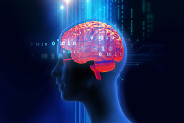 3d rendering of human  brain on technology background