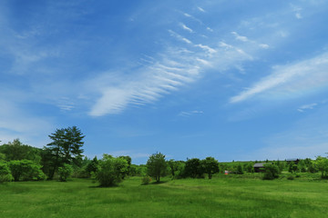 Fototapeta na wymiar blue sky green field