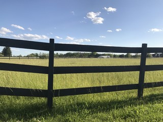 Fototapeta premium Summer Fence 2