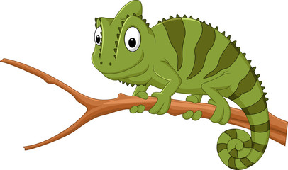 Cartoon chameleon on a branch