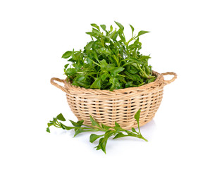 Fototapeta premium fresh watercress in bamboo basket and on white background