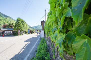 NARAI , JAPAN - JUNE 4, 2017: People are walking at Narai  is a  small town in Nagano Prefecture  ,