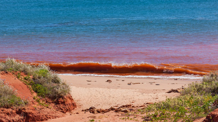 Red waves breaking on beach at high tide at James Price Point, Kimberley, Western Australia